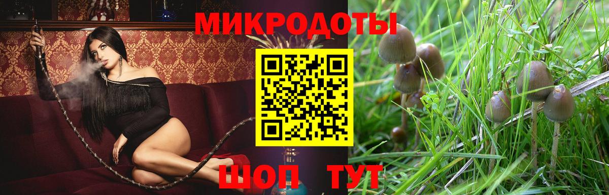 Псилоцибиновые грибы Magic Shrooms Прокопьевск